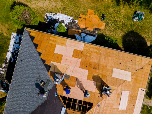 Best Best Roofing Contractors  in Winnie, TX