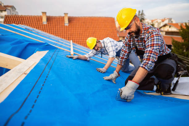 Best Storm Damage Roof Repair  in Winnie, TX
